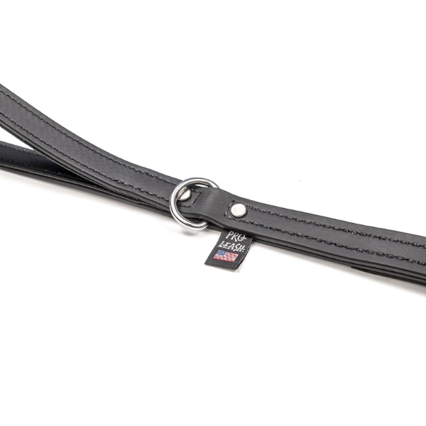 Matthew Zarrella Pro Handler