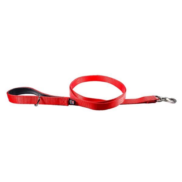 Nylon Walker Leash