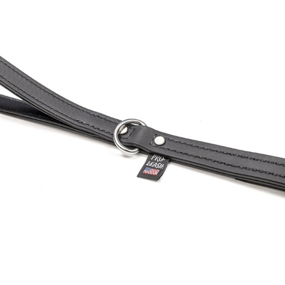 Matthew Zarrella Pro Handler