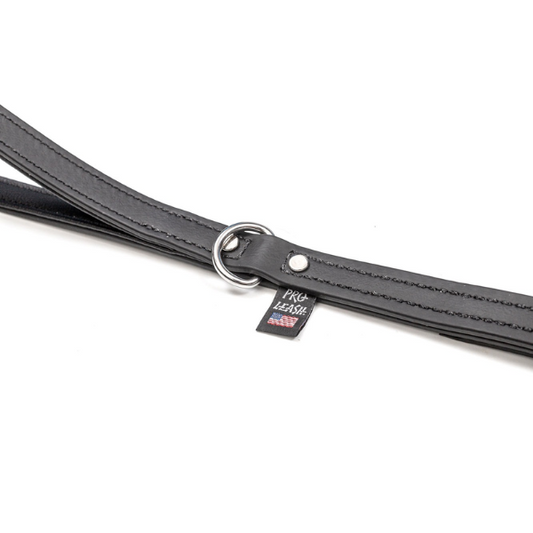 Matthew Zarrella Pro Handler