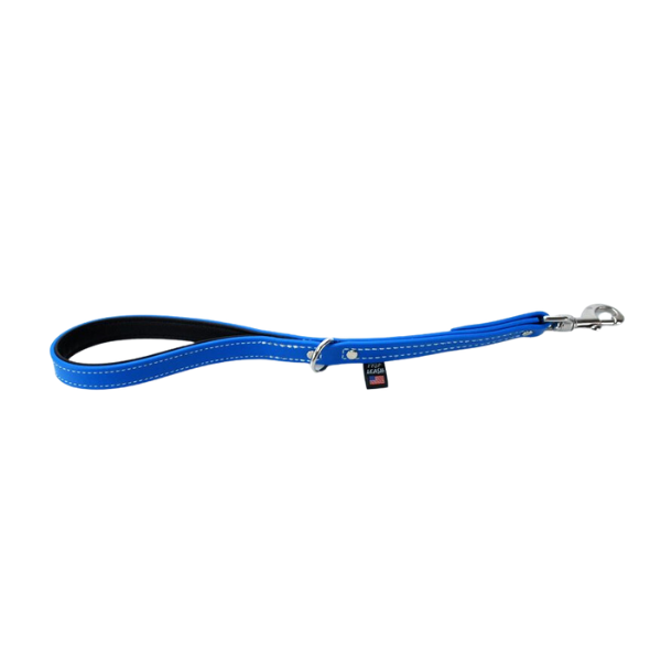 Traffic Training Lead