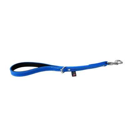 Traffic Training Lead