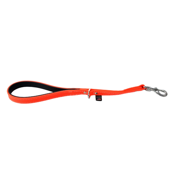 Traffic Training Lead