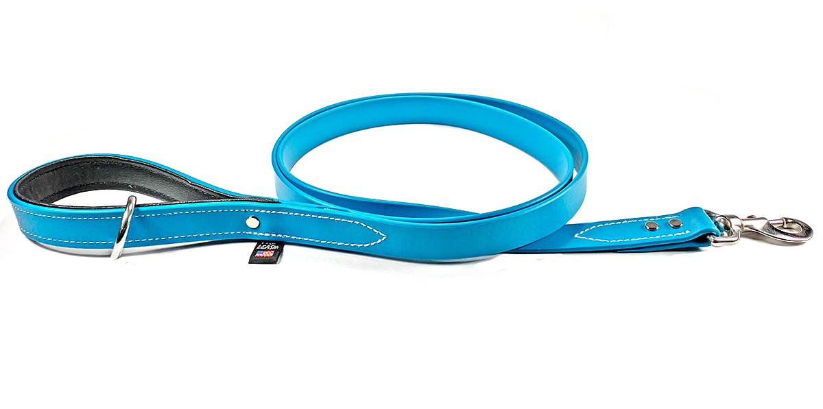 Professional sales dog leash