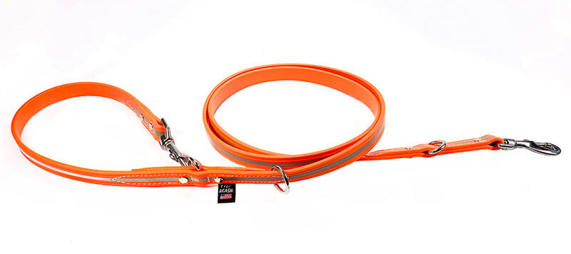Professional dog leads discount