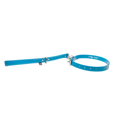 Pro-Leash Cut-to-Fit Dog Collar with Dog Leash